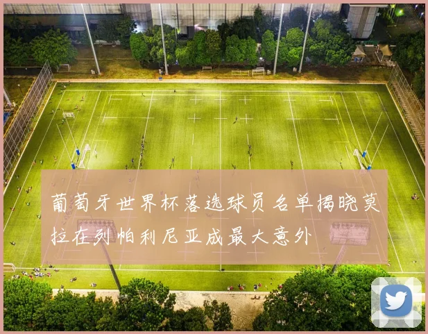 葡萄牙世界杯落选球员名单揭晓莫拉在列帕利尼亚成最大意外